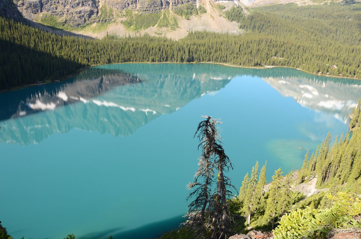 15 Lake O-Hara From Top Of First Ridge On Lake Oesa Trail With Mount Schaffer and Odaray Mountain Reflected In The Lake Morning